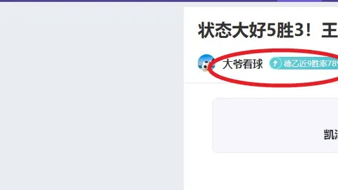 大乐透2026020期专家公良玉宸质合分析推荐