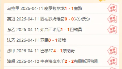 NBA数据分析：老鹰对决尼克斯赛况解读